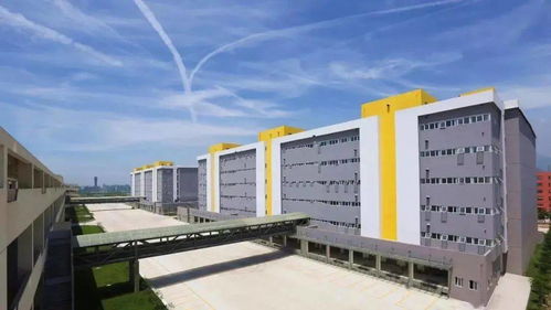 悠悠塘河風光攝影大賽正式啟動，邀您定格水韻，贏取驚喜大獎